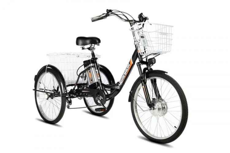 Электровелосипед РВЗ Чемпион 24 складной в Оренбурге