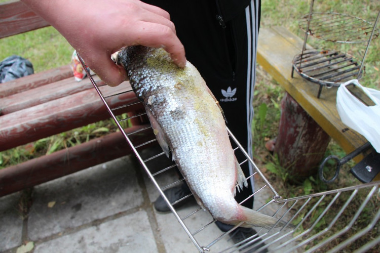 Решетка для рыбы в Оренбурге