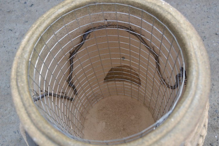 Тандыр Электрический Малый в Оренбурге