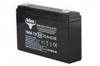 Тяговый гелевый аккумулятор RuTrike TNG 6-7.0 (6V7.0 A/H C20) в Оренбурге