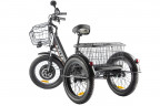 Электрофэтбайк Eltreco Green City e-ALFA Trike в Оренбурге