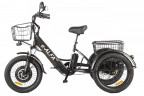 Электрофэтбайк Eltreco Green City e-ALFA Trike в Оренбурге