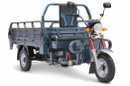 Грузовая электрическая тележка Rutrike Титан 2000 Гидравлика в Оренбурге