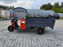 Грузовой электрический трицикл Pаntеrа Гидрaвлика 75V1500W в Оренбурге